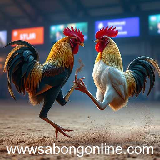 The Digital Evolution of Sabong: A Virtual Arena